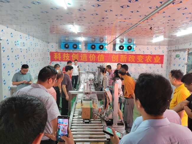 1223-00f2ea4ab451f9a4f3a2a52664e7c922