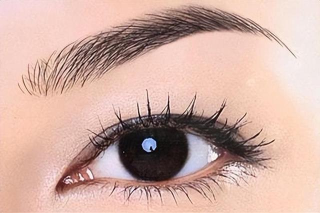 e1fe9925bc315c60c2dcc4e33ad09f1f485477db.jpeg@f_auto