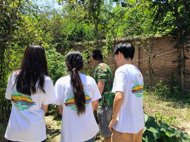 1223-e58517f08b69765764a8f0d2c6eb9500