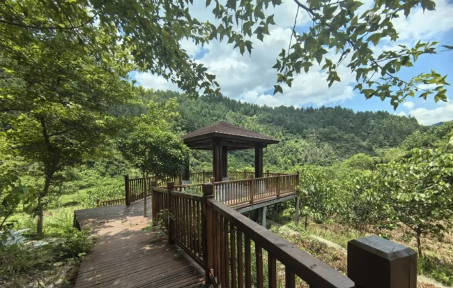 202410211700342021640271