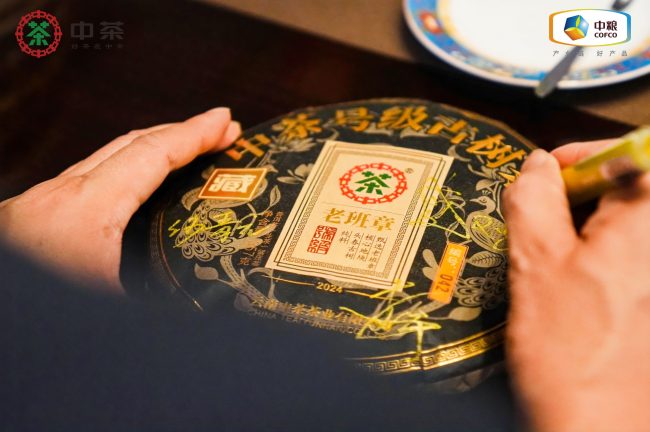 3519cd6e3864333e0ffbb74e01bf3617